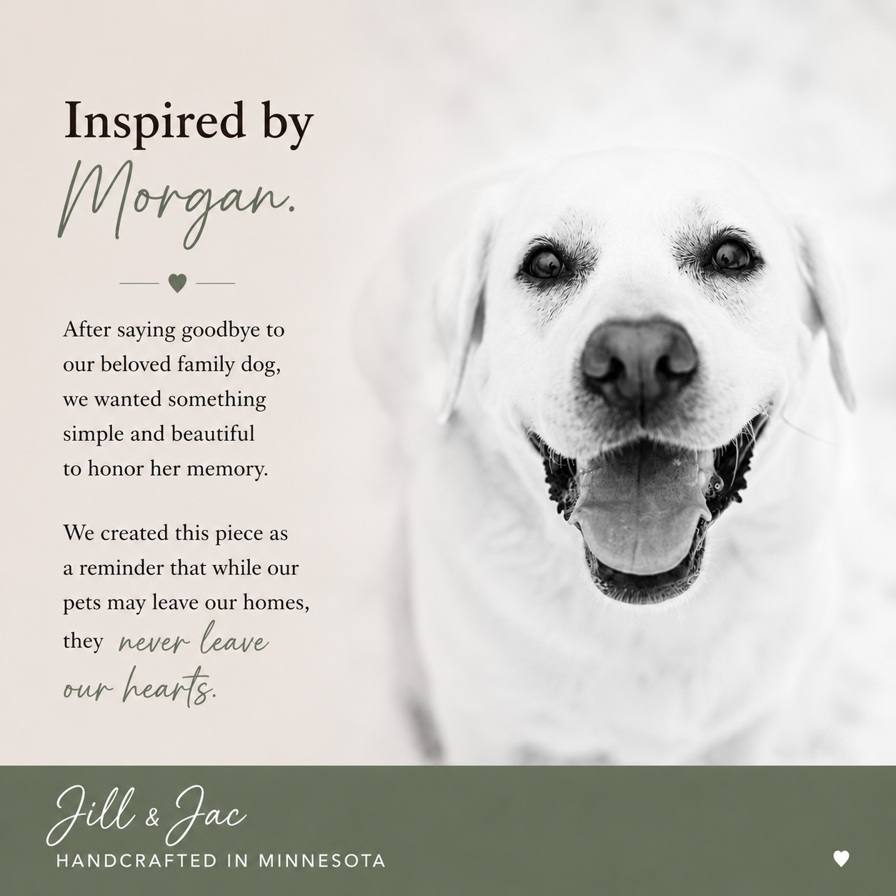 Dog Memorial